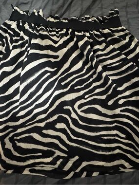 H&M Black and White Zebra-Print A-Line Skirt